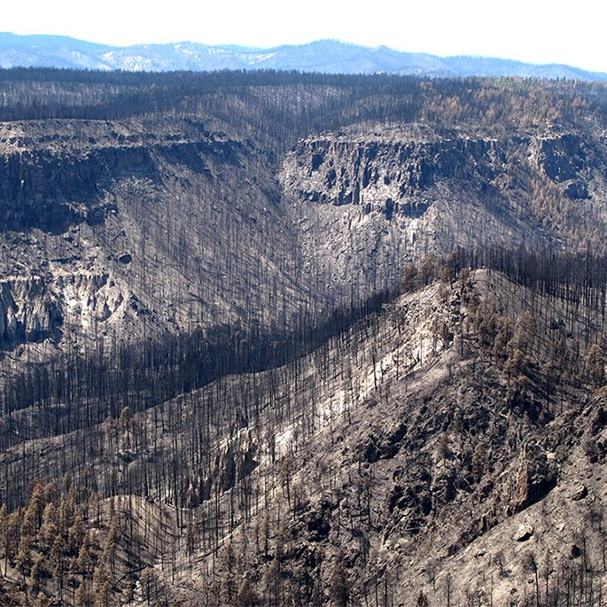 Western fire damaged land