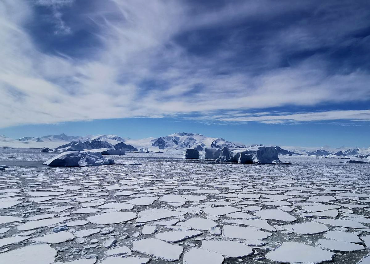 polar icecaps melting
