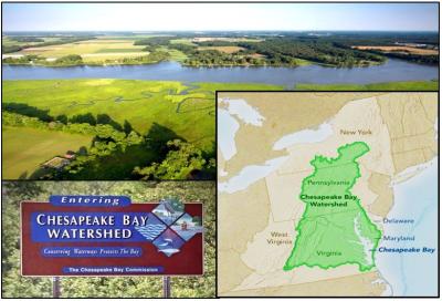 Chesapeake collage