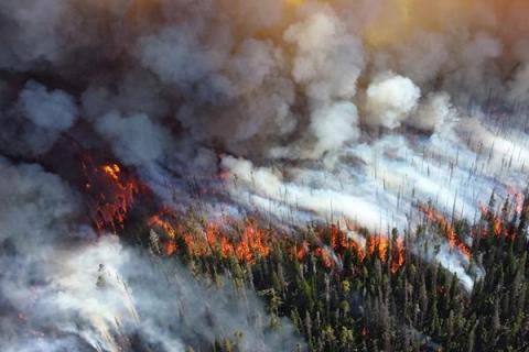 wildfire