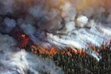 wildfire