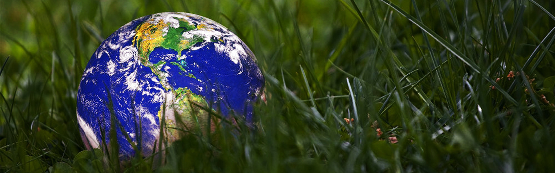 Globe in grass