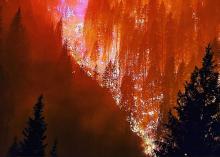 The River Complex fires burn in Klamath National Forest. Image: Reid Barney / United States Forest Service