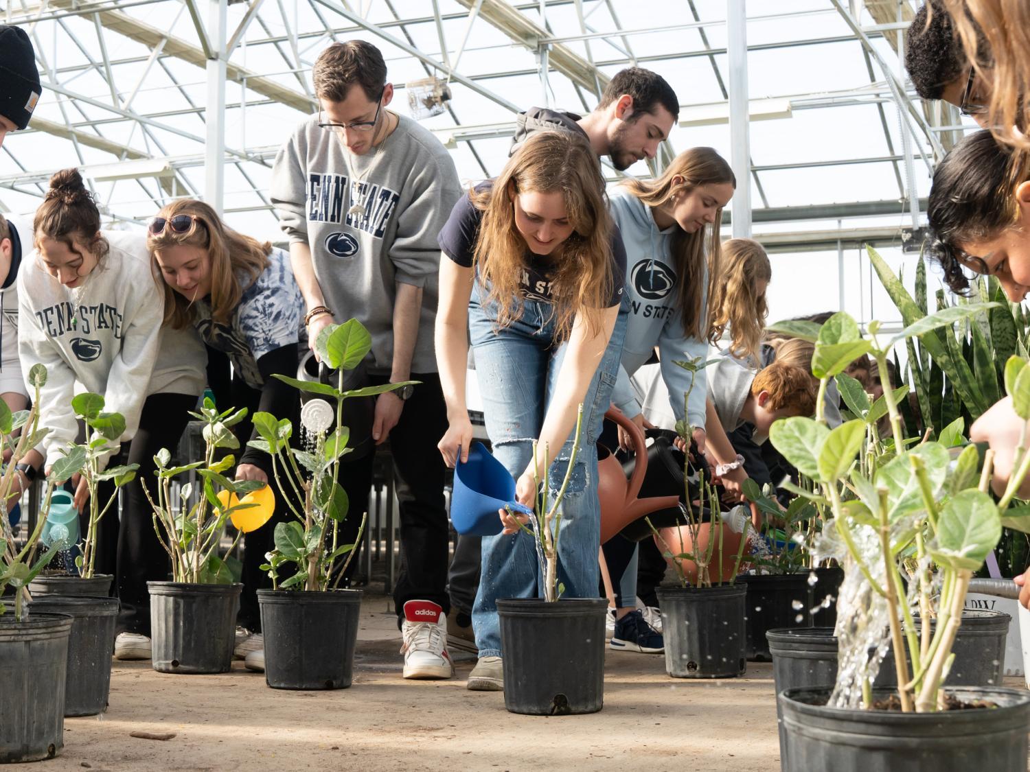 Students water potted plants