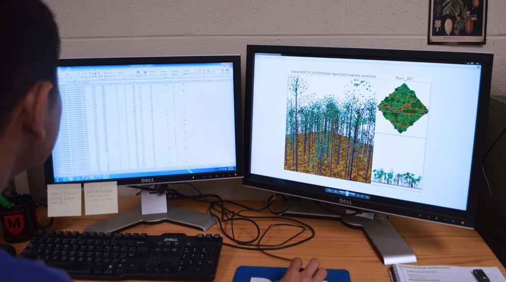 Using the FVS to model forests