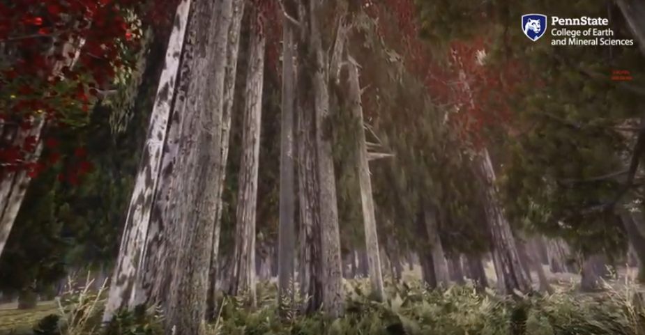 virtual reality forest